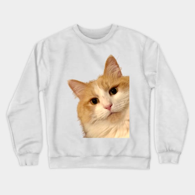 Simba The Ginger , The Look Crewneck Sweatshirt by rconyard